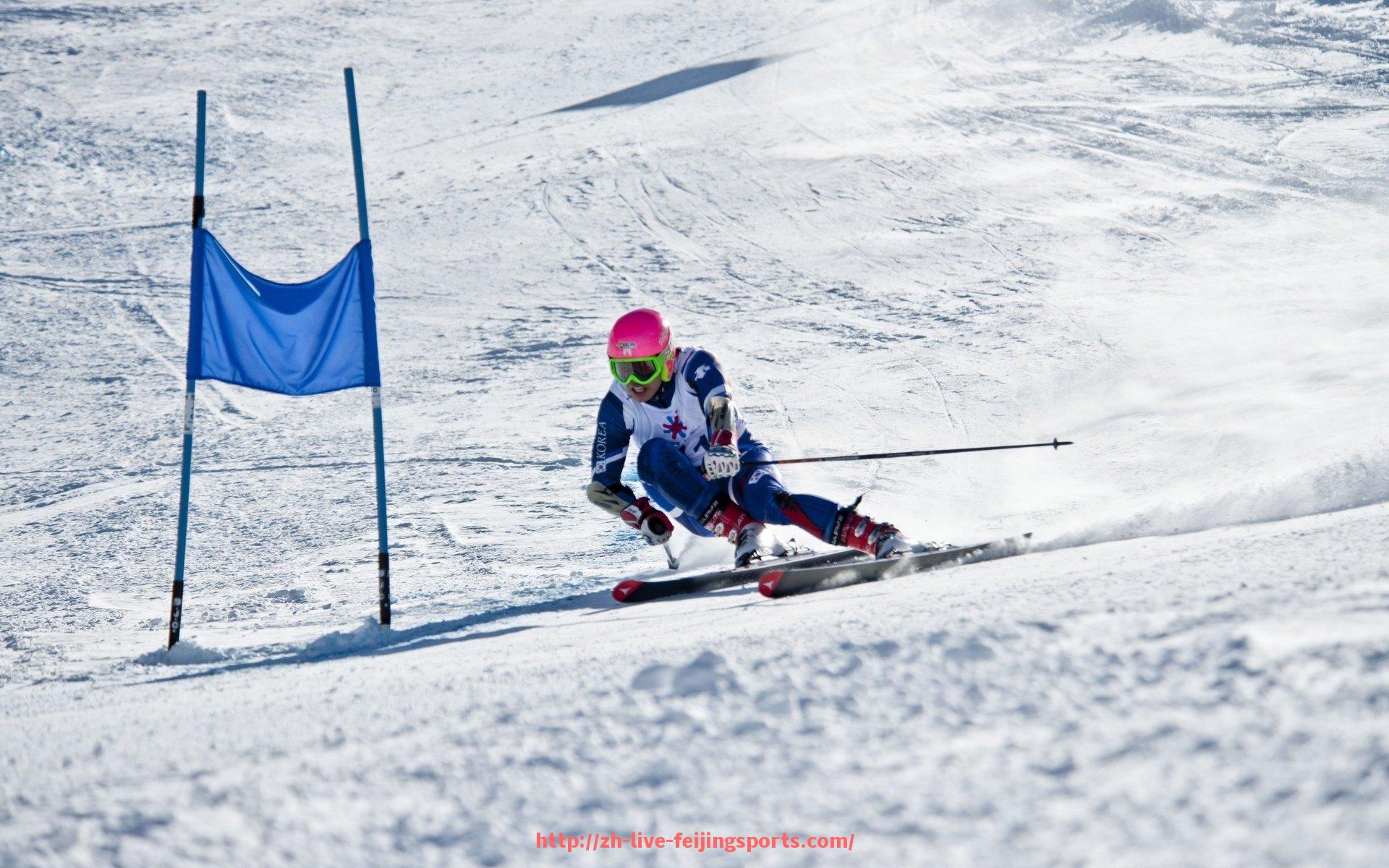 飞鲸体育直播-河南是否有CBA球队?市场潜力与未来